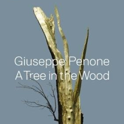 Giuseppe Penone: A Tree in the Wood