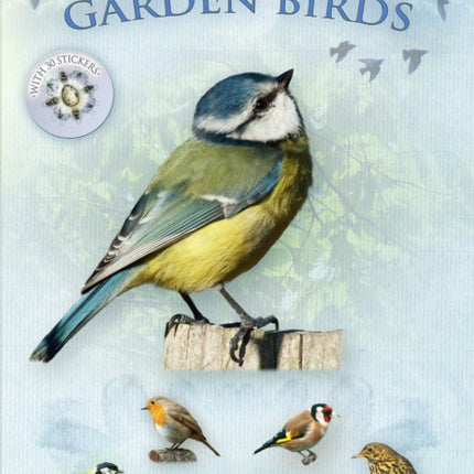 Let's Look for Garden Birds