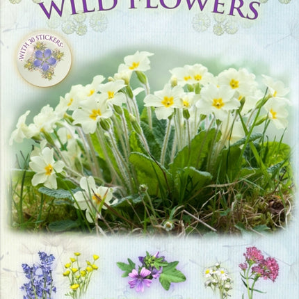 Let's Look for Wild Flowers