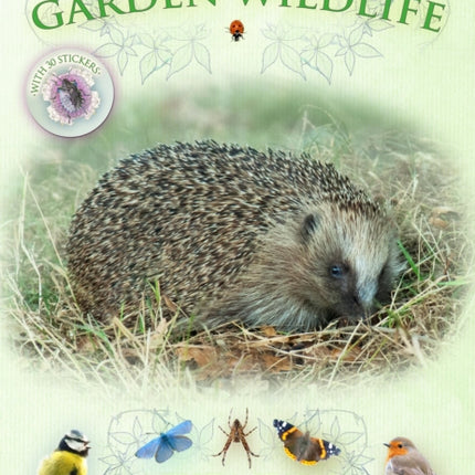 Let's Look for Garden Wildlife