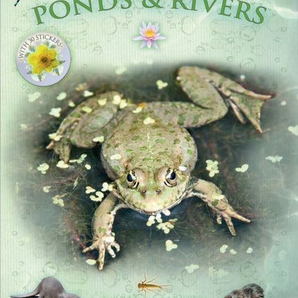 Let's Look in Ponds & Rivers