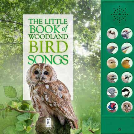 The Little Book of Woodland Bird Songs