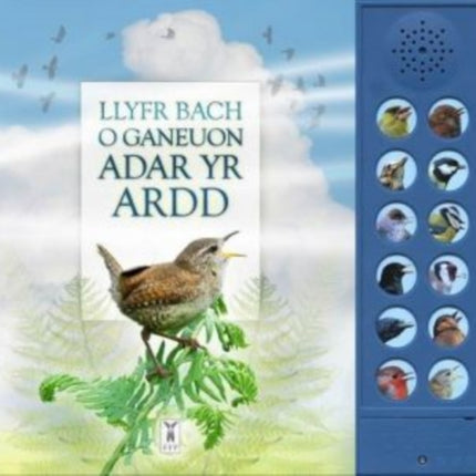 LLYFR BACH O GANEUON ADAR YR ARDD: The Little Book of Garden Bird Songs (Welsh edition)