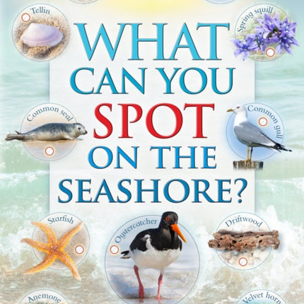 What Can You Spot on the Seashore?