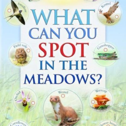 What Can You Spot in the Meadows?