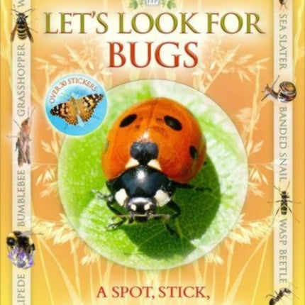 Let's Look for Bugs