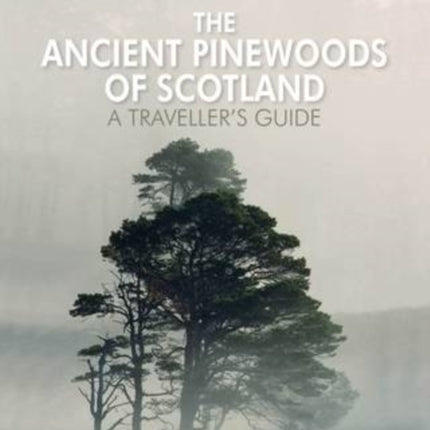 The Ancient Pinewoods of Scotland: A Traveller's Guide