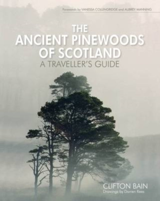 The Ancient Pinewoods of Scotland: A Traveller's Guide