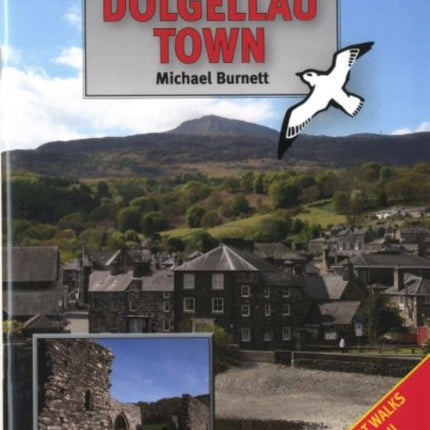 Walks in and Around Dolgellau Town