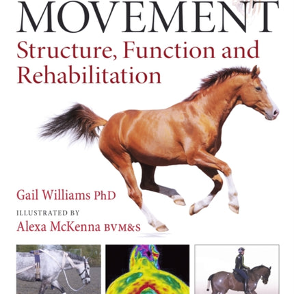Horse Movement: Structure, Function and
