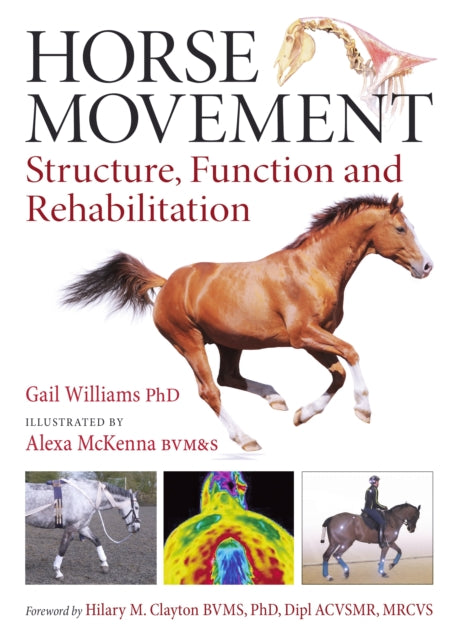 Horse Movement: Structure, Function and