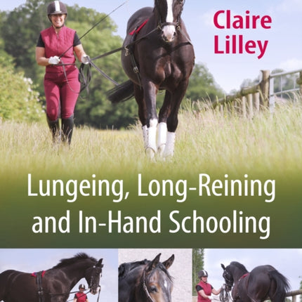 Lungeing, Long-Reining and In-Hand Schooling