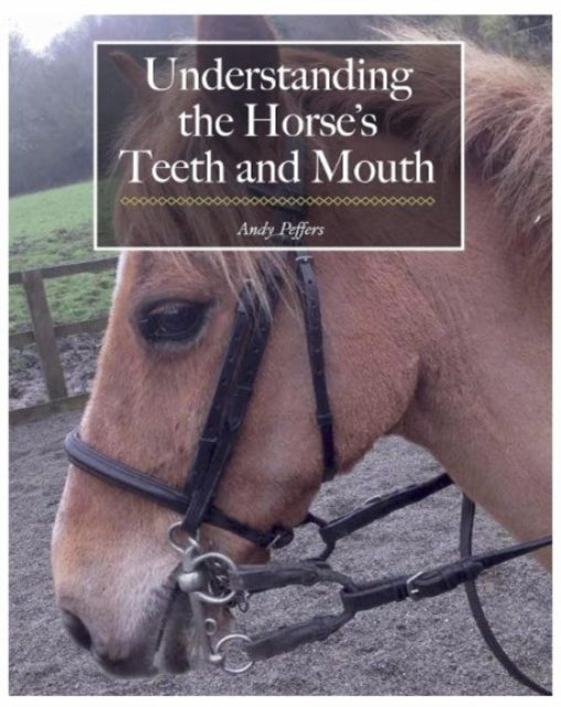 Understanding the Horse's Teeth and Mouth