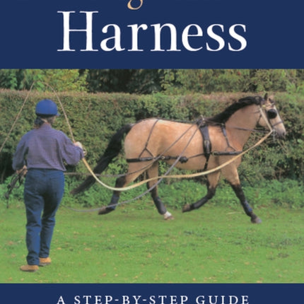 Breaking a Horse to Harness: A Step-by-Step Guide