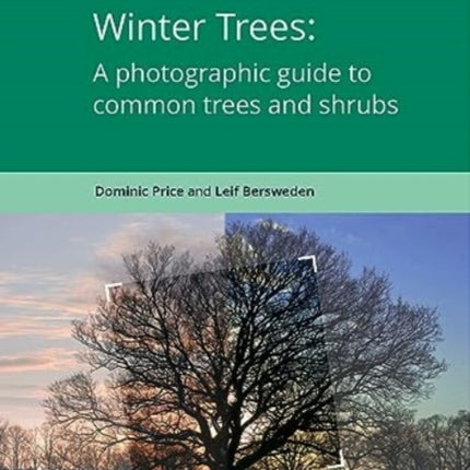 Winter Trees: a Photographic Guide to Common Trees and Shrubs