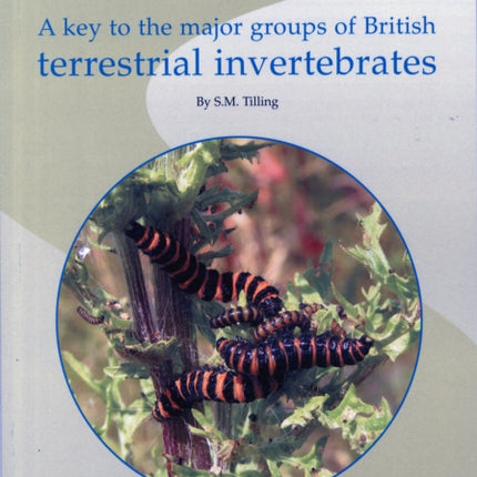 A Key to the Major Groups of Terrestrial