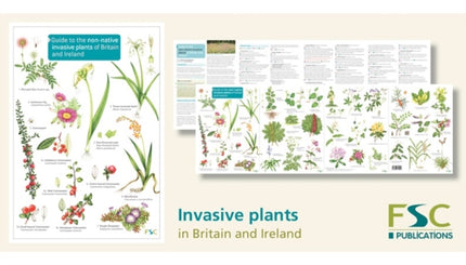 Guide to the non-native invasive plants of Britain and Ireland: 2019