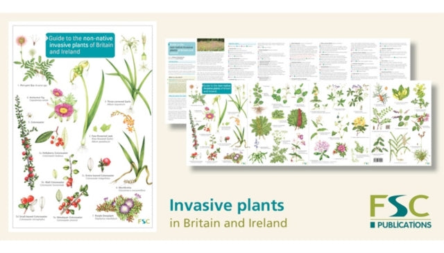 Guide to the non-native invasive plants of Britain and Ireland: 2019