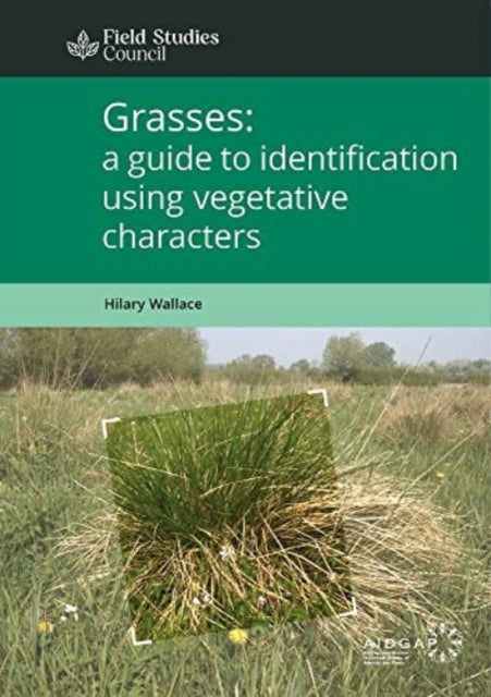 Grasses: a guide to identification using vegetative characters: 2021