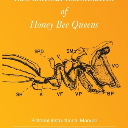 Instrumental Insemination of Honey Bee Queens