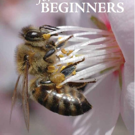 Beekeeping for Beginners