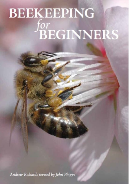 Beekeeping for Beginners