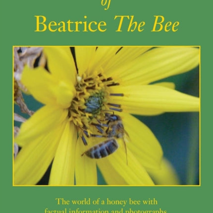 The Life and Death of Beatrice the Bee