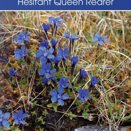 Some Alternative Pathways for the Hesitant Queen Rearer