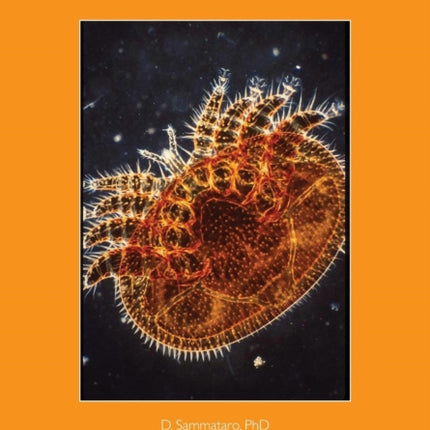 Diagnosing Bee Mites