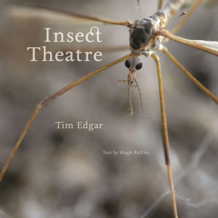 Insect Theatre