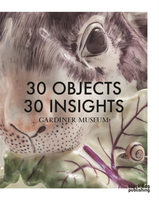 30 Objects 30 Insights