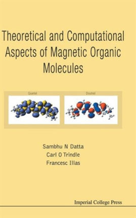 Theoretical And Computational Aspects Of Magnetic