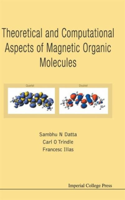 Theoretical And Computational Aspects Of Magnetic