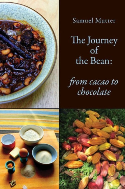 The Journey of the Bean: From Cacao to Chocolate