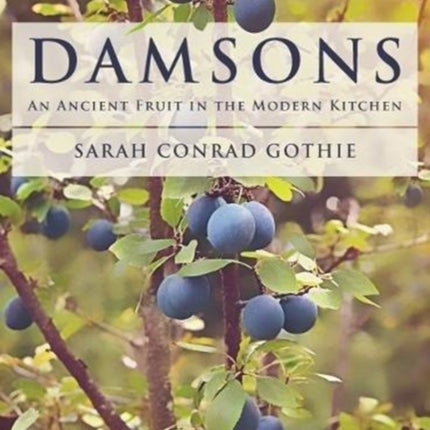 Damsons: An Ancient Fruit in the Modern Kitchen