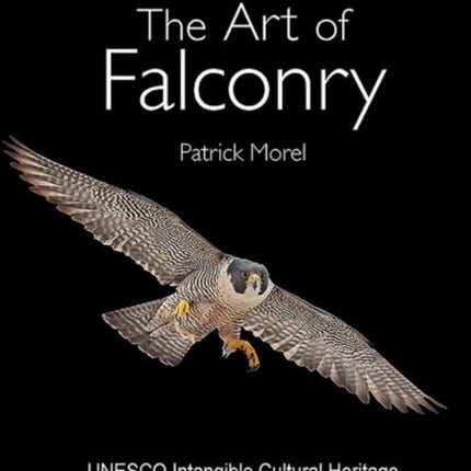 The Art of Falconry