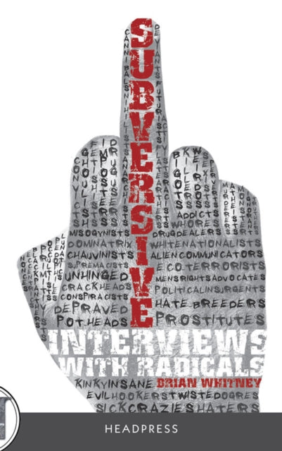 Subversive: Interviews with radicals