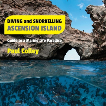 Diving and Snorkelling Ascension Island: Guide to a Marine Life Paradise