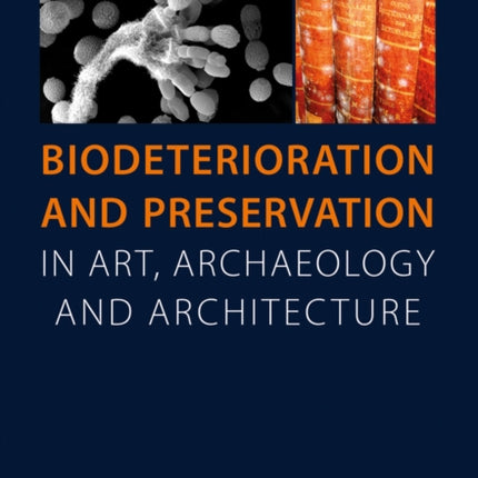 Biodeterioration and Preservation in Art,