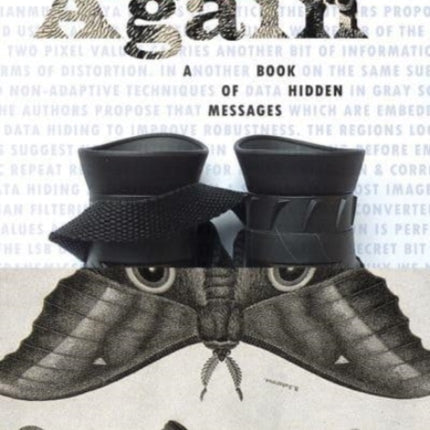 Look Again: A Book of Hidden Messages