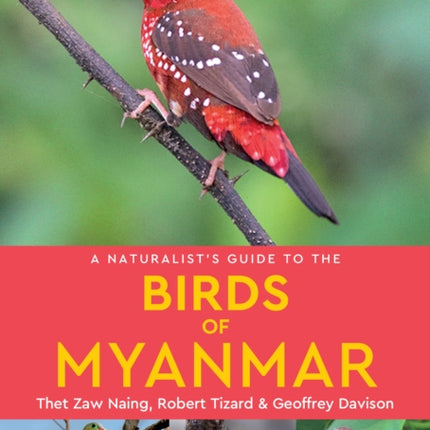 A Naturalist's Guide to the Birds of Myanmar