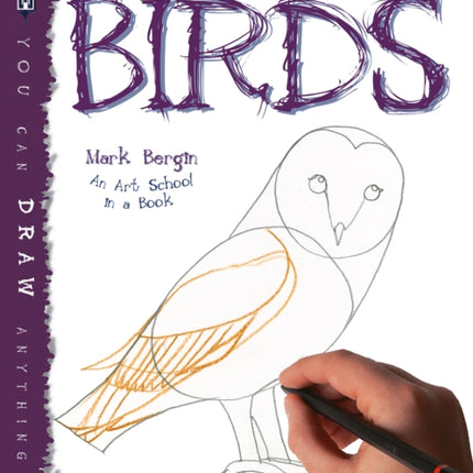 How To Draw Birds