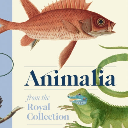 Animalia
