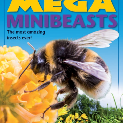 Mega Minibeasts