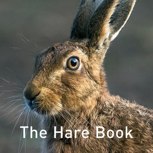 Nature Book Series, The: The Hare Book