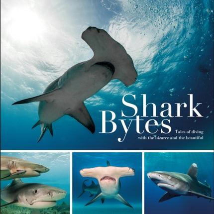 Shark Bytes: Tales of Diving with the Bizarre and the Beautiful