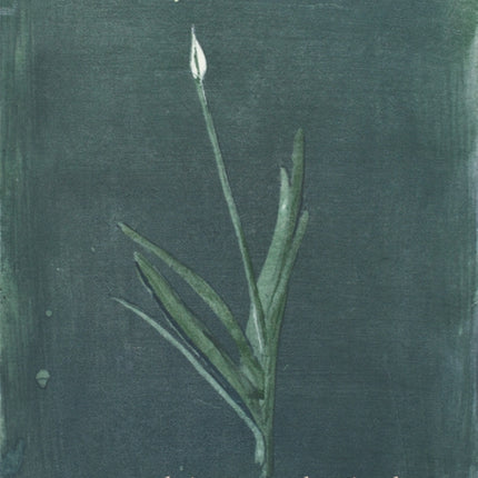 Charlotte Verity The Printed Year