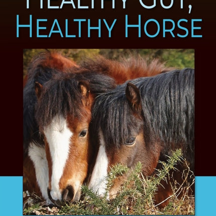 Healthy Gut Healthy Horse