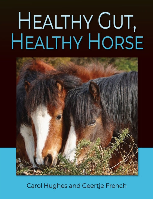 Healthy Gut Healthy Horse