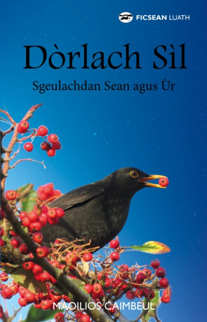 Dòrlach Sìl: Sgeulachdan Sean agus Ùr